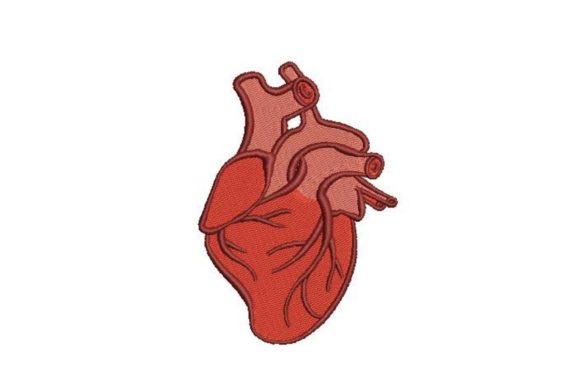Anatomically Correct Heart: A Pro Review for Holiday Embroidery